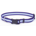 Нашийник Coastal Trendz Graduated для собак, зелений, 1×30 см