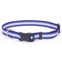Нашийник Coastal Trendz Graduated для собак, пурпурний, 1×30 см Нашийник Coastal Trendz Graduated для собак, пурпурний, 1×30 см