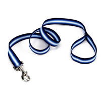 Поводок Coastal Trendz Graduated для собак, синий, 1×1.8 м Поводок Coastal Trendz Graduated для собак, синий, 1×1.8 м