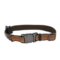Нейлоновый ошейник Coastal K9 Explorer для собак, оранжевый, 1.6×20-30 см Нейлоновый ошейник Coastal K9 Explorer для собак, оранжевый, 1.6×20-30 см