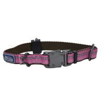 Нейлоновый ошейник Coastal K9 Explorer для собак, розовый, 1.6×20-30 см Нейлоновый ошейник Coastal K9 Explorer для собак, розовый, 1.6×20-30 см
