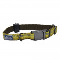 Нейлоновий нашийник Coastal K9 Explorer для собак, жовтий, 2.5×30-45 см