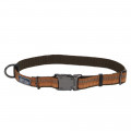 Нейлоновий нашийник Coastal K9 Explorer для собак, помаранчевий, 2.5×30-45 см