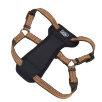Нейлонова шлея Coastal K9 Explorer c нагрудником, для собак, помаранчевий, 2.5×50-75 см