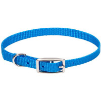 Ошейник Coastal Nylon Web для собак, голубой, 1×25 см Ошейник Coastal Nylon Web для собак, голубой, 1×25 см