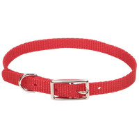 Ошейник Coastal Nylon Web для собак, красный, 1×30 см Ошейник Coastal Nylon Web для собак, красный, 1×30 см