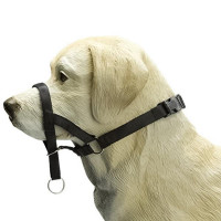 Дрессировочный поводок Pet Pro Дог контроль для собак, черная, размер XXL Дрессировочный поводок Pet Pro Дог контроль для собак, черная, размер XXL
