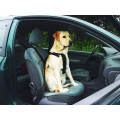 Шлея в автомобіль Pet Pro для собак, середня, 60×75 см