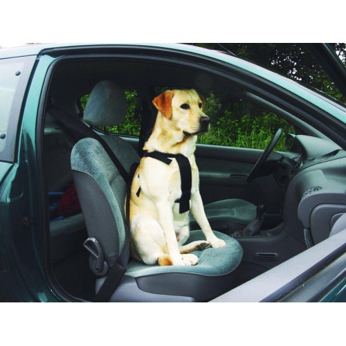 Шлея в автомобіль Pet Pro для собак, середня, 60×75 см