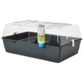 Клетка Savic Rody Cavia для морских свинок, черная, 70 х 45 х 31 см
