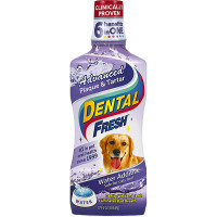 Рідина SynergyLabs Dental Fresh Cat від зубного нальоту і запаху, для собак і котів, 503 мл Рідина SynergyLabs Dental Fresh Cat від зубного нальоту і запаху, для собак і котів, 503 мл