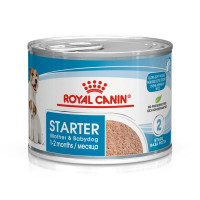 Вологий корм Royal Canin Starter Mousse для вагітних собак і цуценят, 195 г Вологий корм Royal Canin Starter Mousse для вагітних собак і цуценят, 195 г
