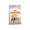 Сухий корм Royal Canin Medium Dermacomfort для собак середніх порід з чутливою шкірою, 3 кг