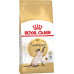 Сухий корм Royal Canin Siamese Adult для сіамської кішки, 10 кг