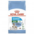 Сухий корм Royal Canin Mini Starter для годуючих собак дрібних порід, 8 кг
