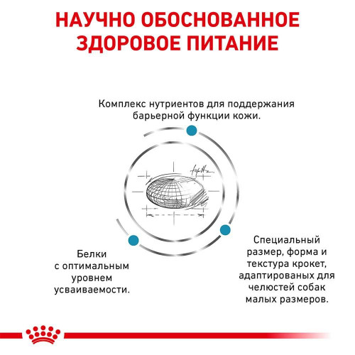 Сухий корм Royal Canin Skin Care Adult Small Dog при захворюванні шкіри у собак дрібних порід, 2 кг