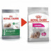 Сухий корм Royal Canin Mini Exigent для вибагливих собак дрібних порід, 3 кг