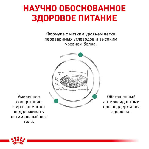 Сухий корм Royal Canin Diabetic при цукровому діабеті у кішок, 400 г