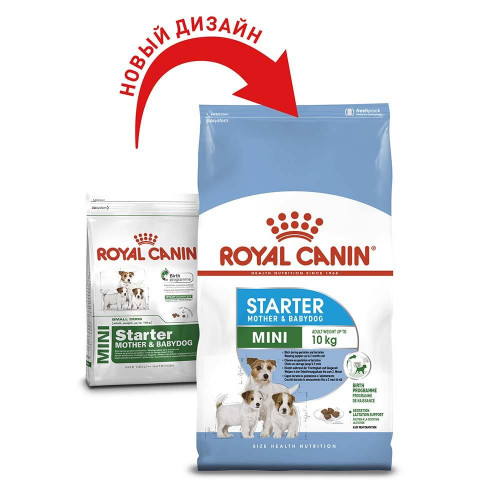 Сухий корм Royal Canin Mini Starter для годуючих собак дрібних порід, 8 кг