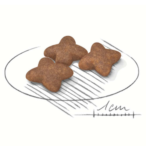 Сухий корм Royal Canin Mini Adult для собак дрібних порід, 2 кг