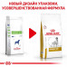 Сухий корм Royal Canin Urinary S / O при сечокам'яній хворобі у собак, 2 кг