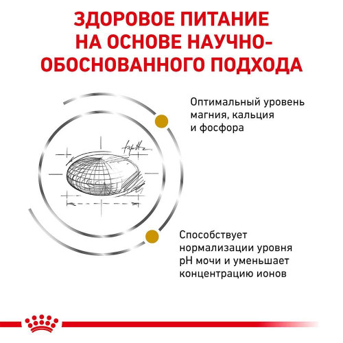 Сухий корм Royal Canin Urinary S / O при сечокам'яній хворобі у кішок, 3.5 кг