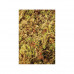 Живий мох Komodo Habitat Moss, 1,5 л