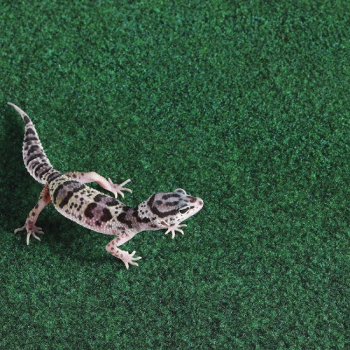 Коврик-субстрат Komodo Reptile Carpet, 120x60 см