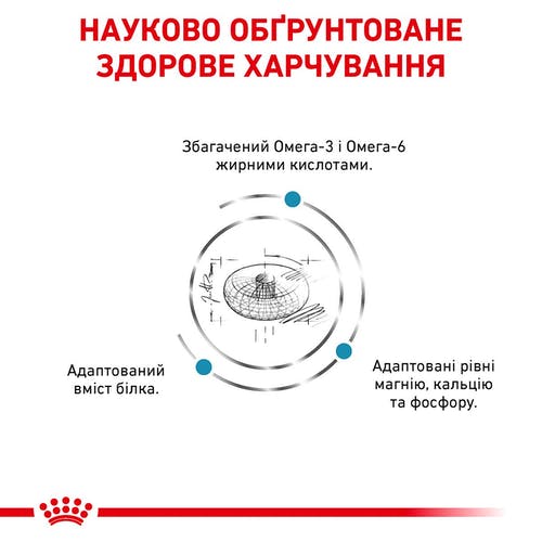 Сухий корм Royal Canin Skin & Coat при дерматозе і випаданні шерсті у котів, 3.5 кг