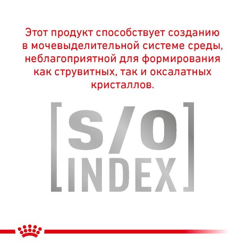 Вологий корм Royal Canin Skin & Coat при дерматозе і випаданні шерсті у котів, 85 г
