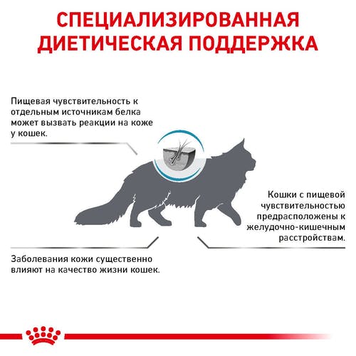 Вологий корм Royal Canin Skin & Coat при дерматозе і випаданні шерсті у котів, 85 г