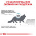 Вологий корм Royal Canin Skin & Coat при дерматозе і випаданні шерсті у котів, 85 г