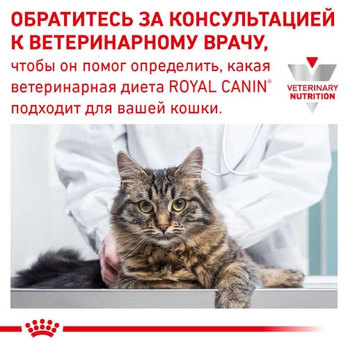 Вологий корм Royal Canin Skin & Coat при дерматозе і випаданні шерсті у котів, 85 г