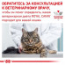 Вологий корм Royal Canin Skin & Coat при дерматозе і випаданні шерсті у котів, 85 г