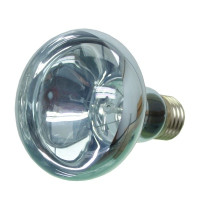 Неодимовая лампа REPTI-ZOO Neodymium Daylight 100W B80100 Неодимовая лампа REPTI-ZOO Neodymium Daylight 100W B80100