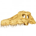 Череп крокодила REPTI-ZOO Crocodile Skull ERS34S S 11x6x4 см