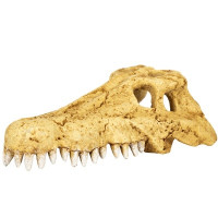 Череп крокодила REPTI-ZOO Crocodile Skull ERS34S S 11x6x4 см Череп крокодила REPTI-ZOO Crocodile Skull ERS34S S 11x6x4 см