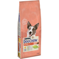 Сухой корм Purina Dog Chow Active Adult для взрослых активных собак, с курицей, 14 кг Сухой корм Purina Dog Chow Active Adult для взрослых активных собак, с курицей, 14 кг