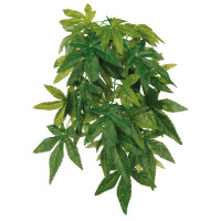 Рослина для тераріуму Trixie - Abutilon, 20х50 см Рослина для тераріуму Trixie - Abutilon, 20х50 см