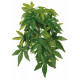 Рослина для тераріуму Trixie - Abutilon, 20х50 см
