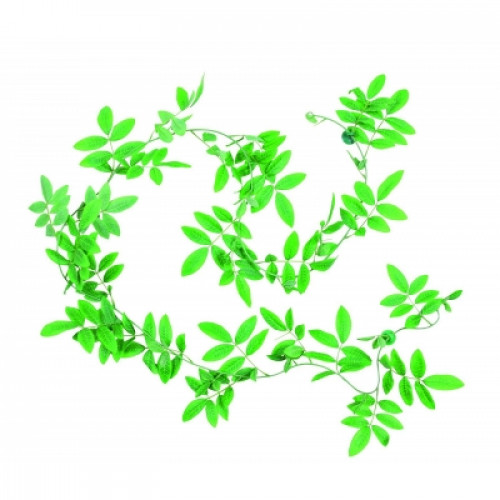 Рослина для тераріуму Trixie - Ficus