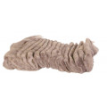 Підстилка Trixie Wooly, для гризунів, коричнева, 20 г