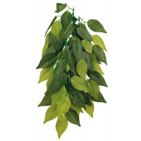 Декорація Trixie Ficus, рослина, для тераріумів, 20 × 30 см Декорація Trixie Ficus, рослина, для тераріумів, 20 × 30 см