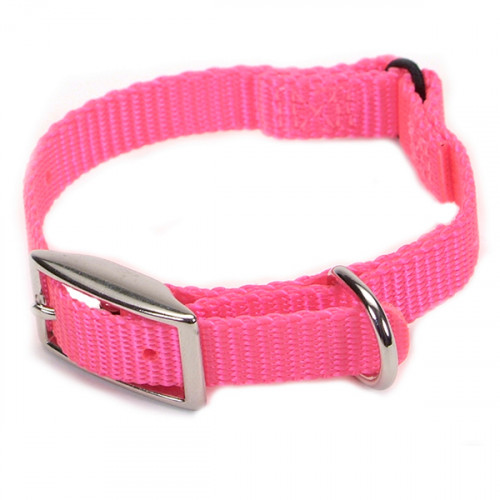 Безпечний нашийник Coastal Nylon Web для кішок, рожевий, 1 × 20 см