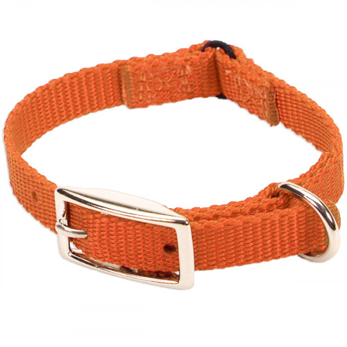 Безпечний нашийник Coastal Nylon Web для кішок, апельсиновий, 1 × 20 см
