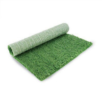 Змінна трава для туалету Croci PetSafe Loo, 55×45×10 см Змінна трава для туалету Croci PetSafe Loo, 55×45×10 см