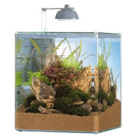 Аквариумный комплект для пресной воды EHEIM aquastyle 35л Аквариумный комплект для пресной воды EHEIM aquastyle 35л