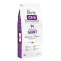 Сухий корм Brit Care GF Giant Salmon & Potato, для собак вагою від 45 кг, 12 кг