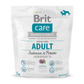 Сухий корм Brit GF Adult Salmon & Potato, для собак вагою до 25 кг, 1 кг