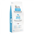 Сухой корм Brit Care GF Junior Large Breed Salmon & Potato, для щенков гигантских пород, 12 кг